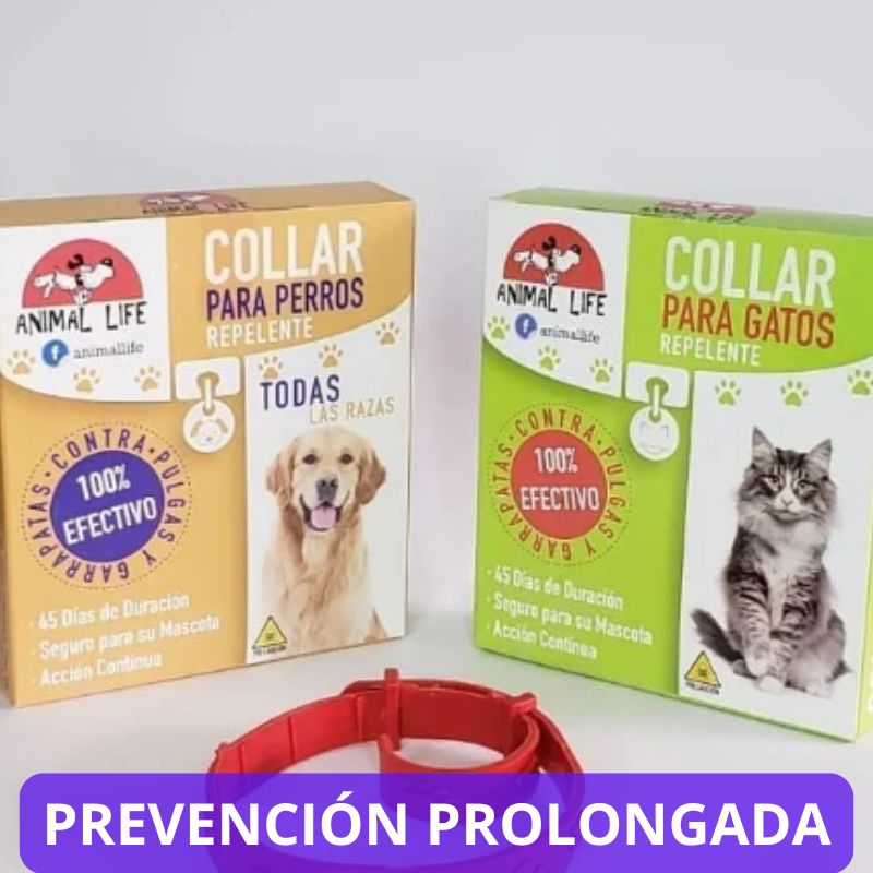 COLLAR ANTI PULGAS PARA PERROS Y GATOS. "Imagina poder proteger a tu amigo peludito cada día"
