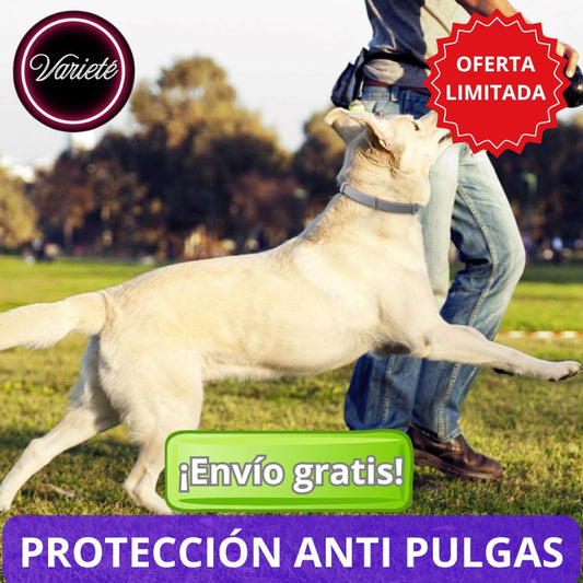 COLLAR ANTI PULGAS PARA PERROS Y GATOS. "Imagina poder proteger a tu amigo peludito cada día"
