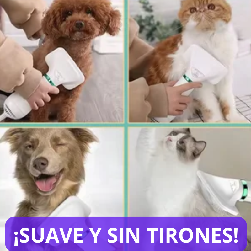 SECADOR DE PELO MASCOTA.