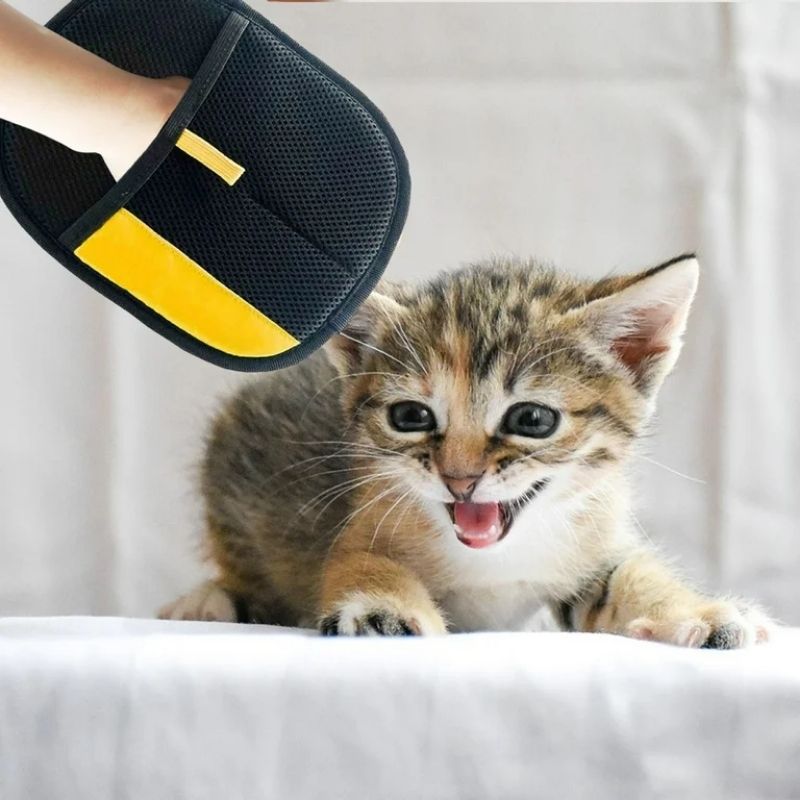 GUANTE ELECTROESTÁTICO QUITA PELOS + ENVÍO GRATIS🎁 "Adiós a los pelos pegados por toda la casa"