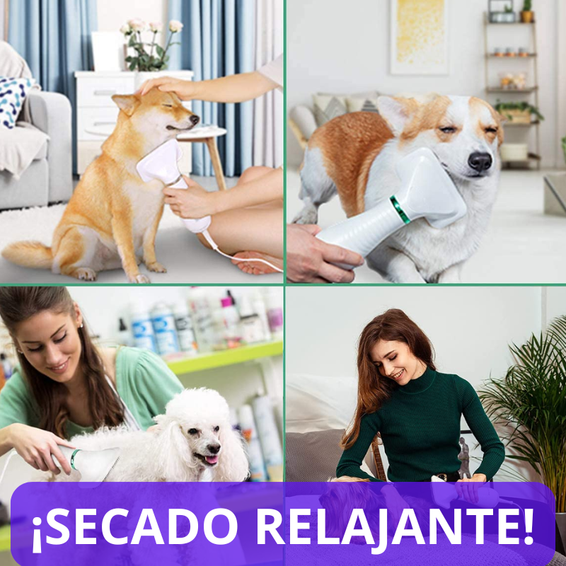 SECADOR DE PELO MASCOTA.